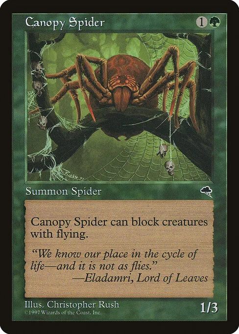 Araña de la enramada