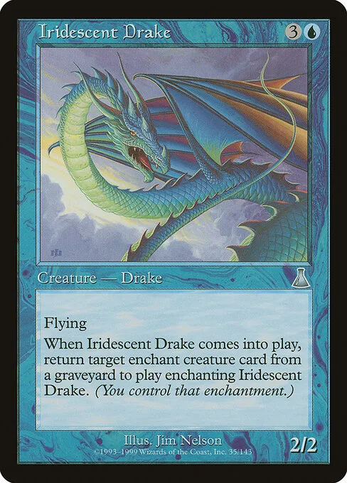 Draco iridiscente