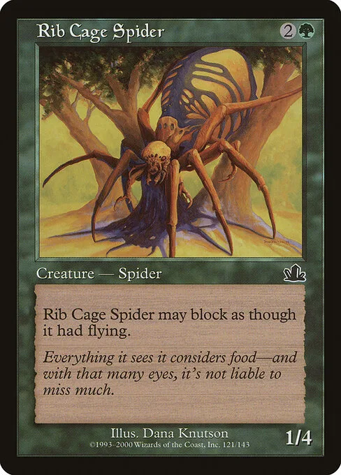 Araña Costillar