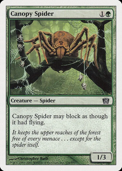 Araña de la enramada