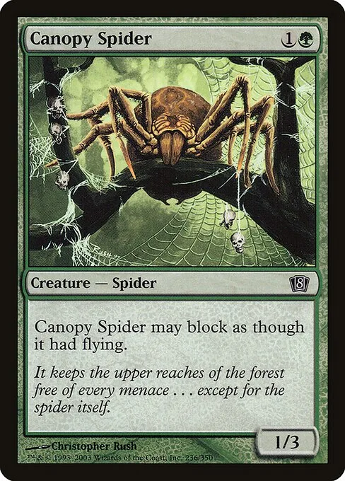 Araña de la enramada