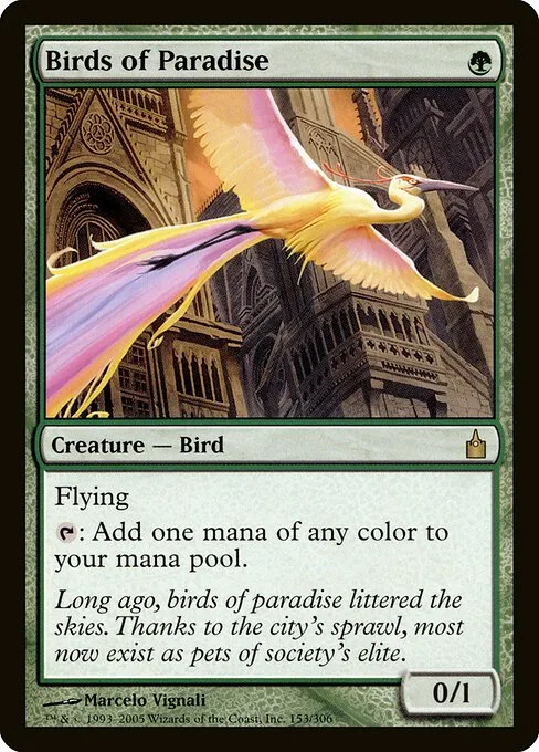 Aves del paraíso