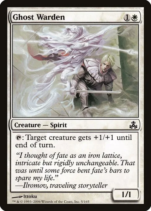 Protectora fantasma