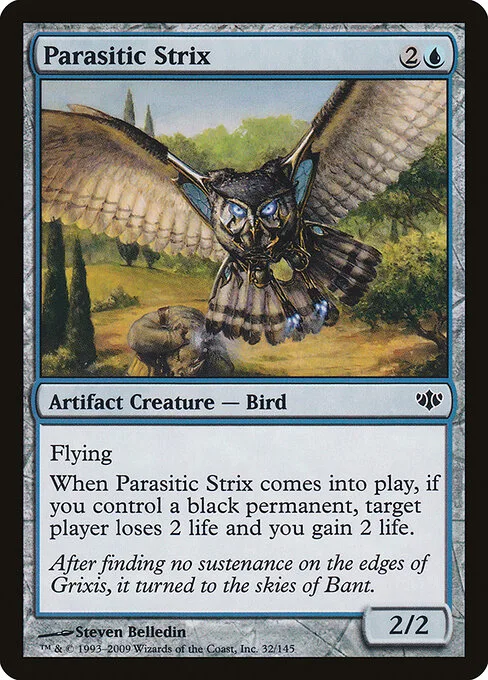 Strix parasitario