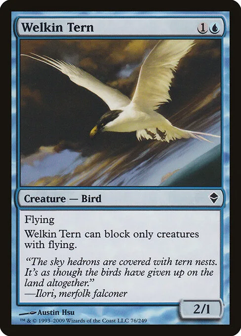 Golondrina del firmamento