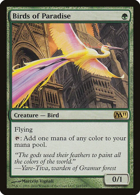 Aves del paraíso