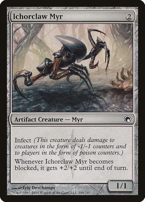 Myr garra icórida