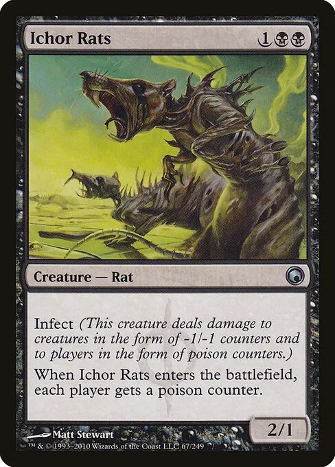Ratas icóridas