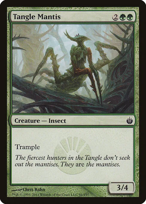 Mantis de la Maraña