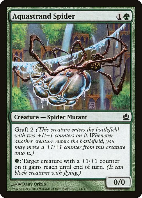 Araña aquatela