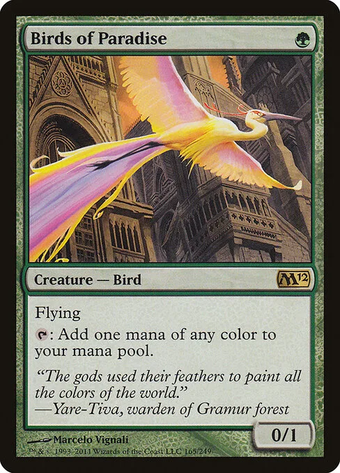Aves del paraíso