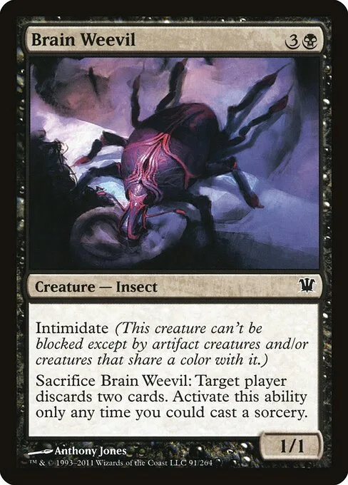 Gorgojo cerebral
