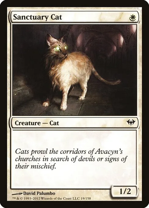Gato del santuario