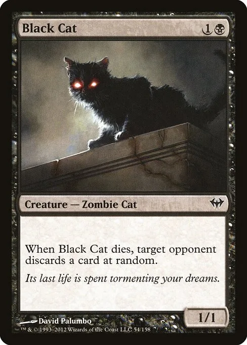 Gato negro