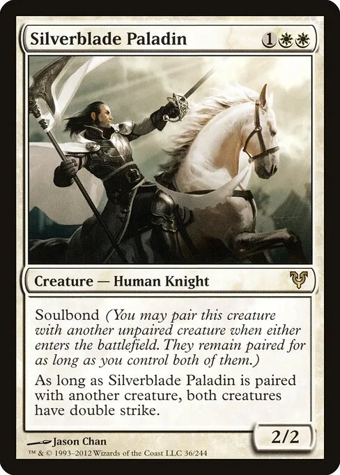 Paladín espada plateada