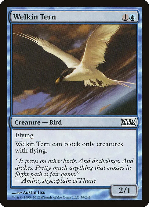 Golondrina del firmamento