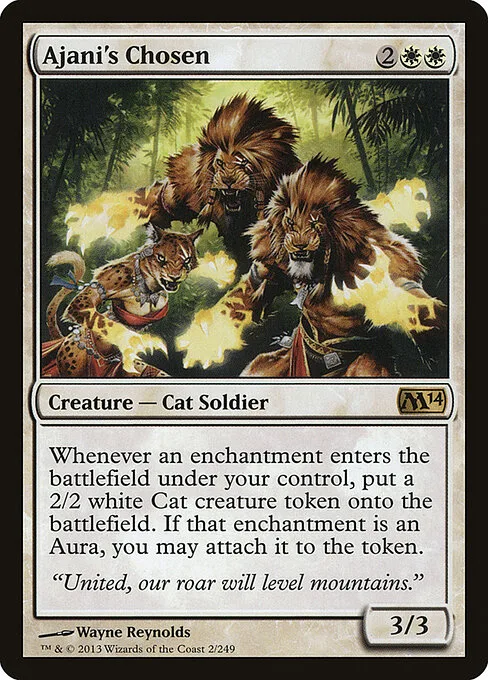 Elegido de Ajani