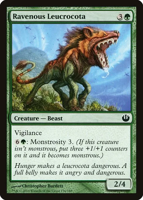 Leucrocota voraz