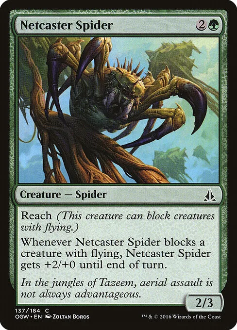 Araña lanzatelas