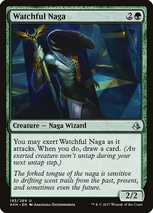 Naga avizor