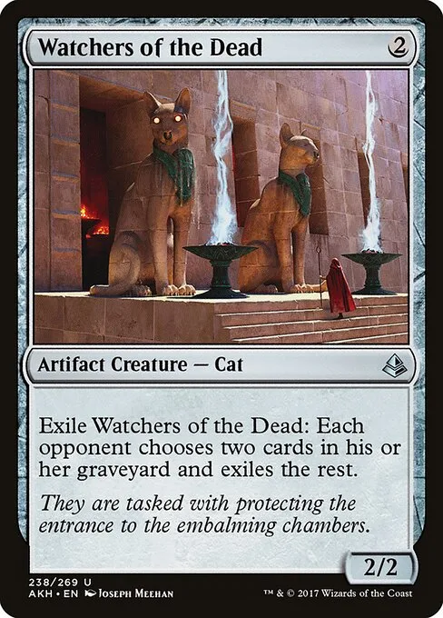 Vigilantes de los muertos