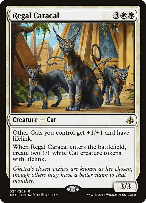 Caracal regio