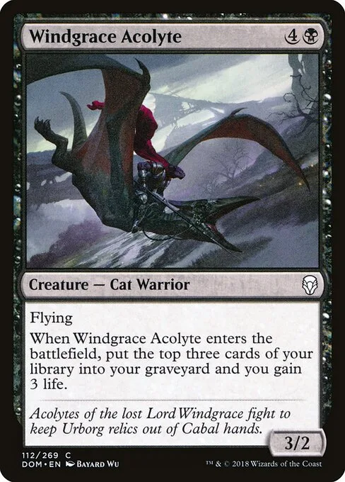 Acólito de Windgrace