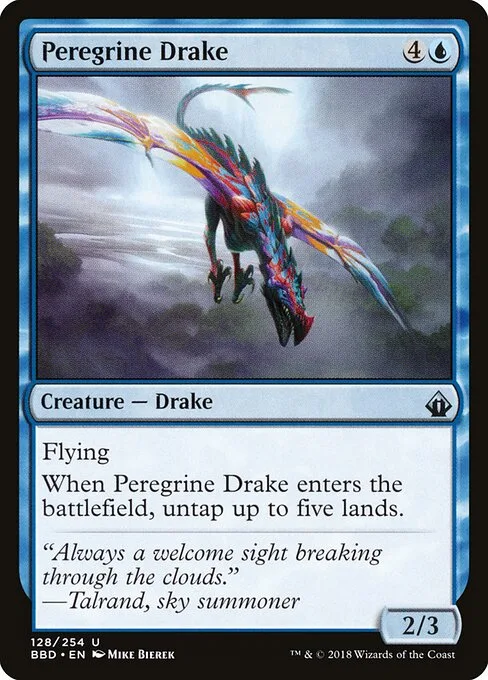 Draco peregrino