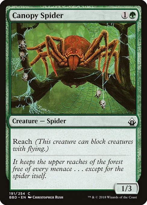 Araña de la enramada