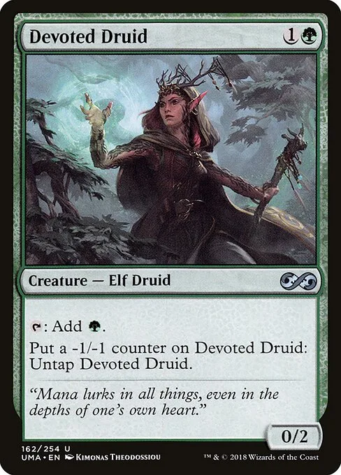 Druida devoto