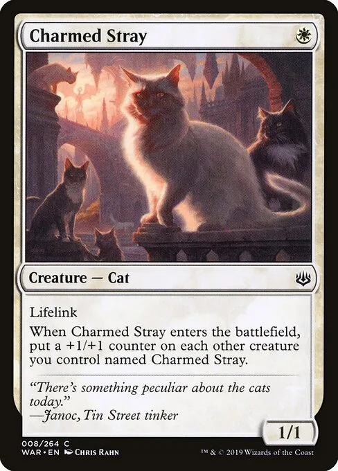 Gato encantador