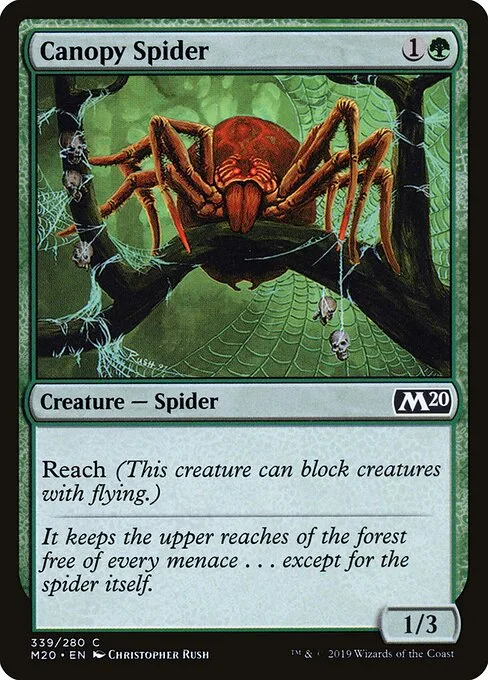 Araña de la enramada