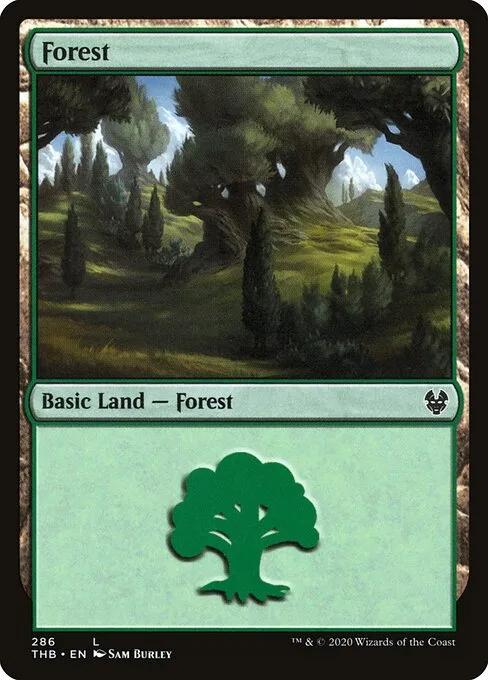 Bosque