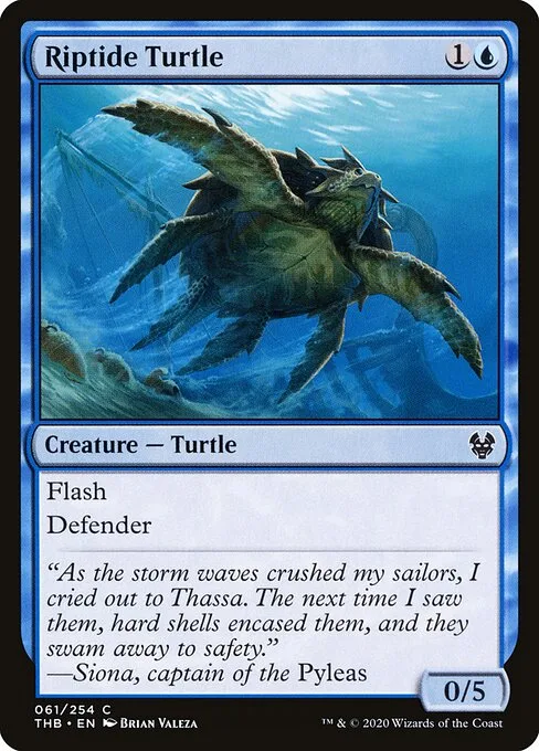 Tortuga de aguas revueltas