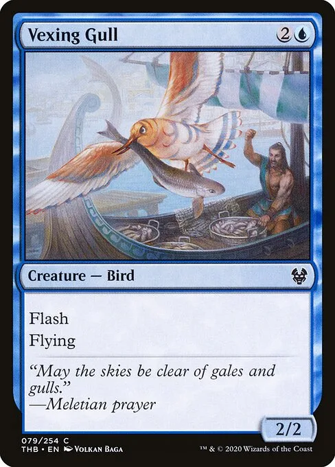 Gaviota fastidiosa