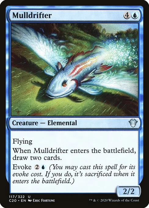 Errante meditabundo