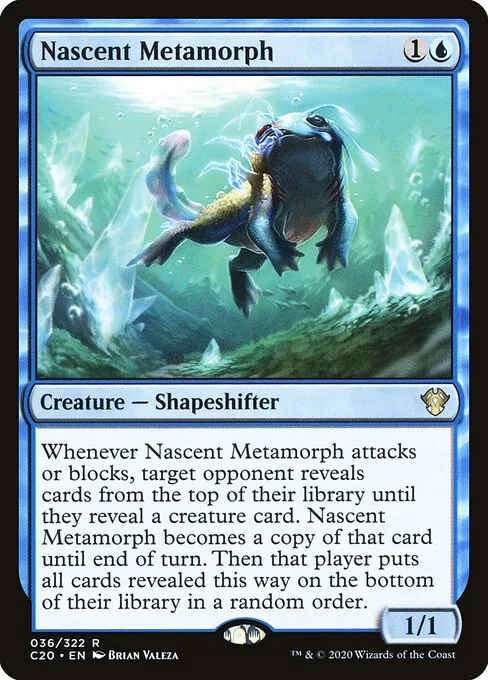 Metamorfo recién nacido