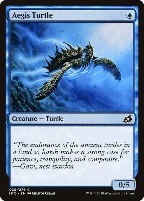 Tortuga protegida