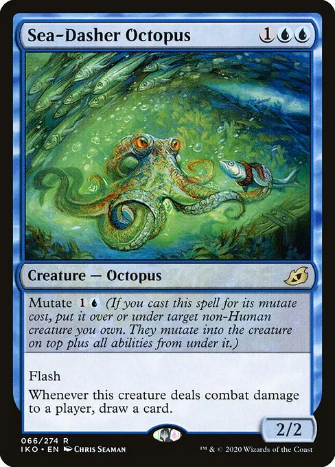 Pulpo corremares