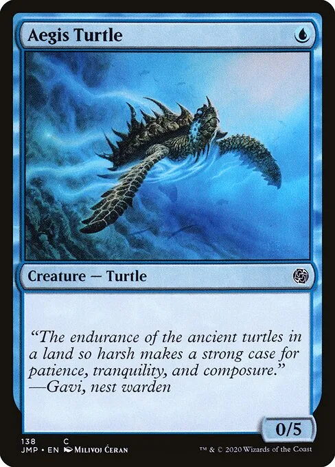 Tortuga protegida