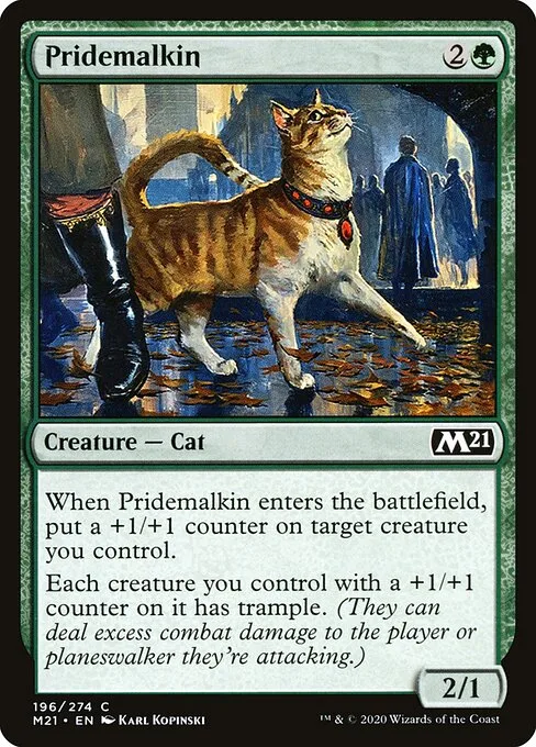 Felino engreído