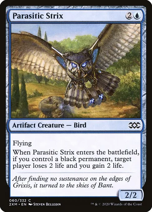 Strix parasitario