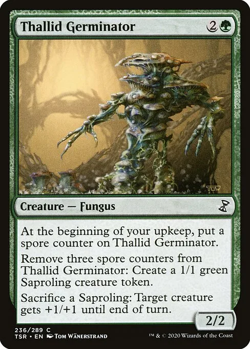 Germinador tálido