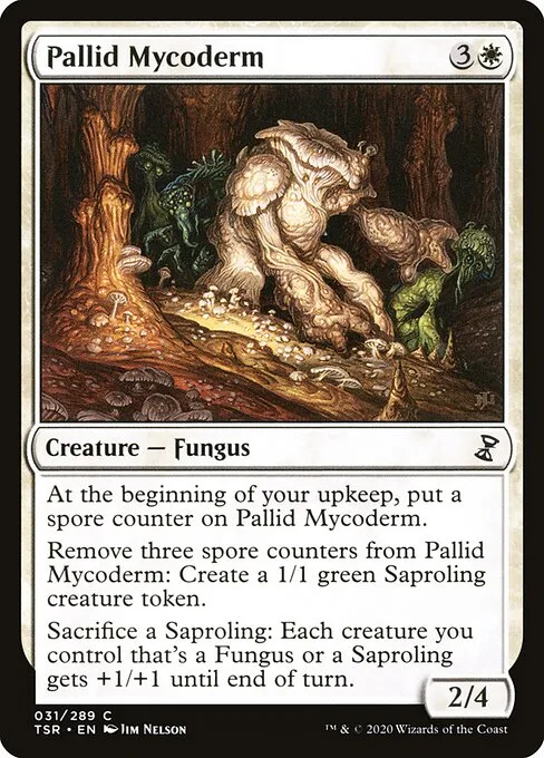 Micodermo pálido