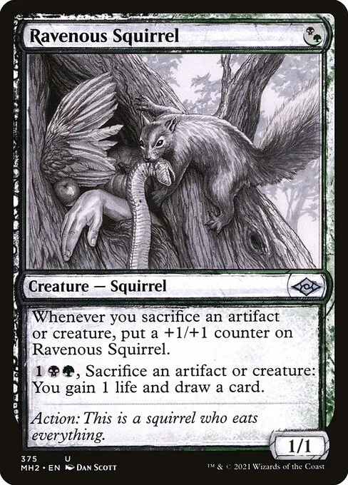 Ardilla voraz