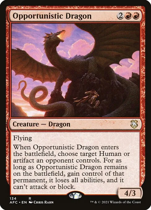 Dragona oportunista