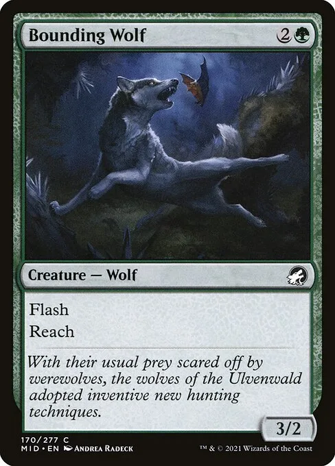 Lobo brincador