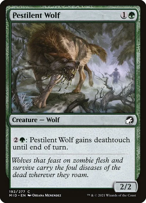 Lobo pestilente