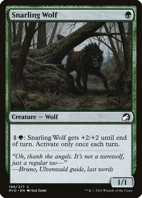 Lobo gruñidor