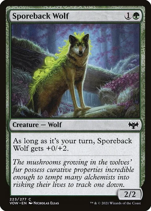 Lobo espalda de esporas